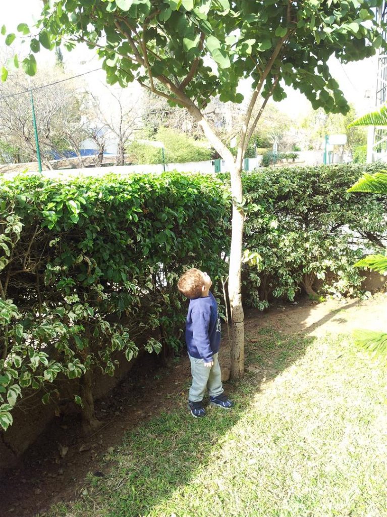 טו בשבט ינואר 2014, רון נכדי ליד העץ שואל שאלה חכמה