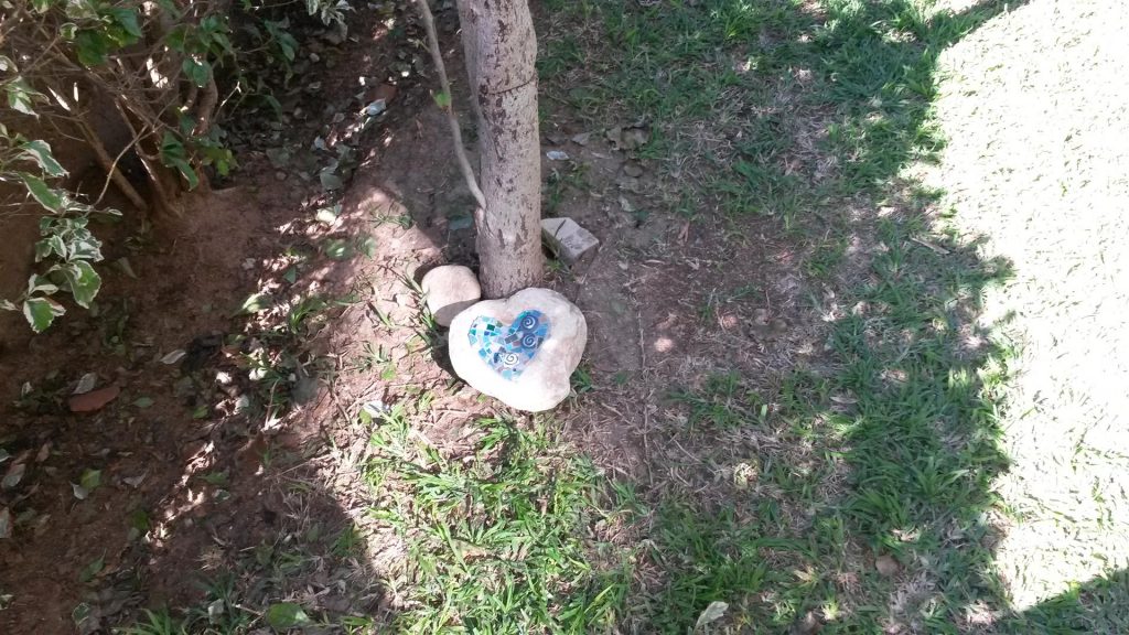 מתנה לעץ שלי לכבוד פריחה ראשונה בשנתו הרביעית