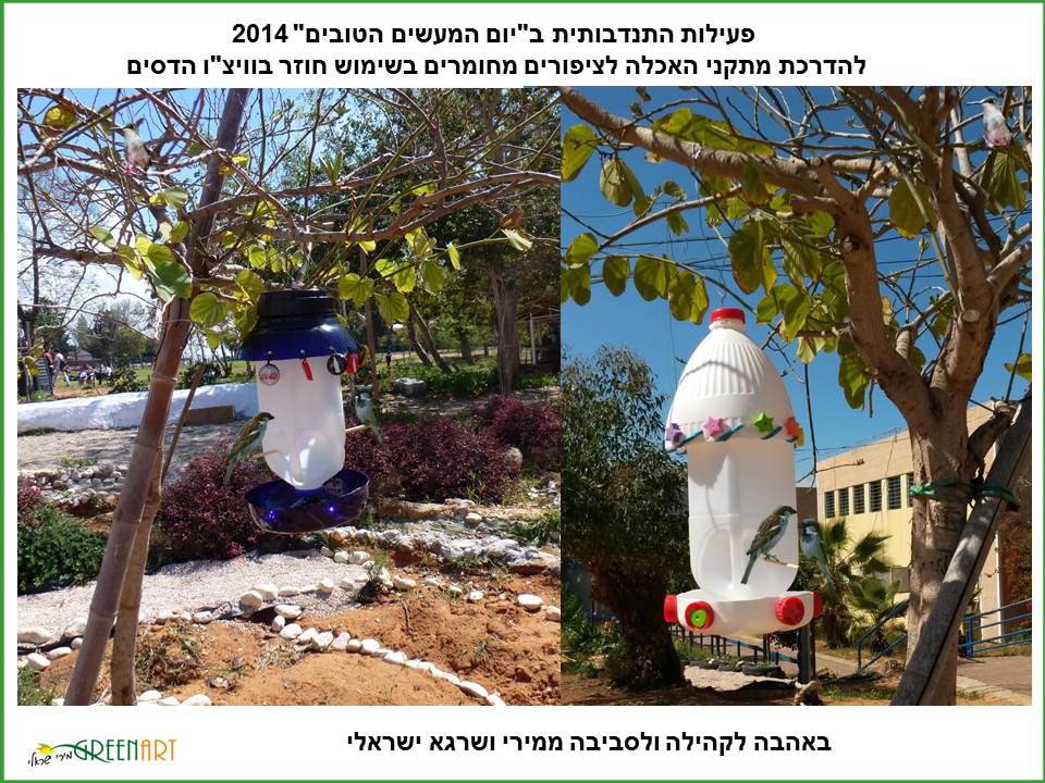 מתקני האכלה לציפורים שיצרנו עם צוות חוחית מורכבים על עצי הבוהיניה מתקני האכלה לציפורים שיצרנו עם צוות חוחית מורכבים על עצי הבוהיניה