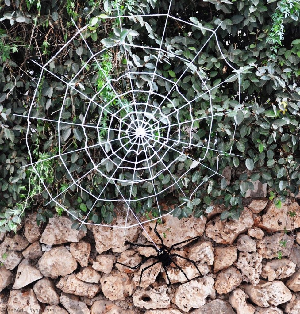 היצירה - החוט המקשר- עכביש טווה חוטים מפסולת של מטריות