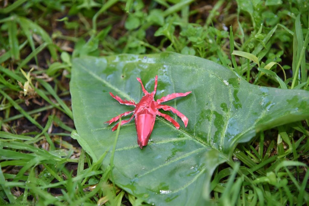 פיסול חרקים מקפסולות של קפה - אמנות אקולוגית  ECO ART