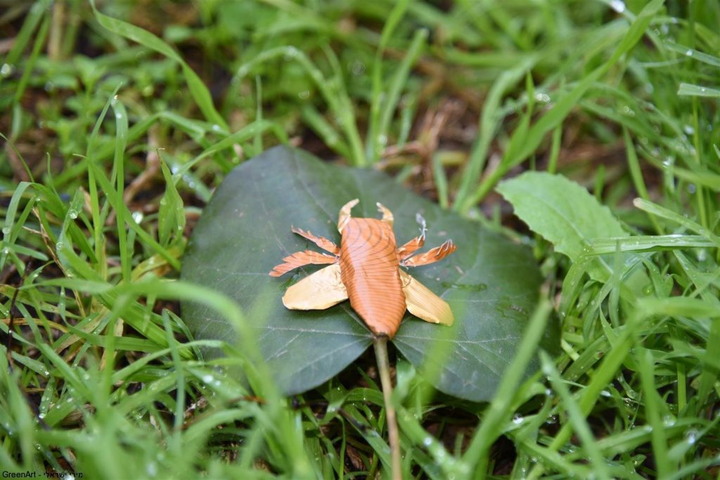 פיסול חרקים מקפסולות של קפה - אמנות אקולוגית  ECO ART