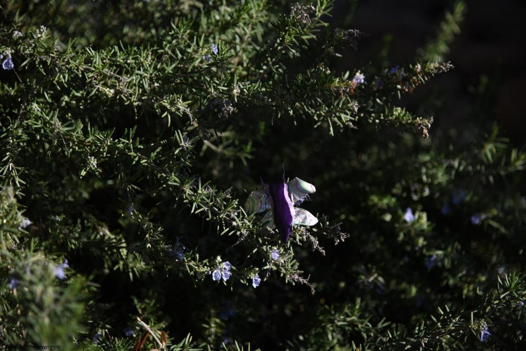פיסול פרפרים מקפסולות של קפה - אמנות אקולוגית  ECO ART
