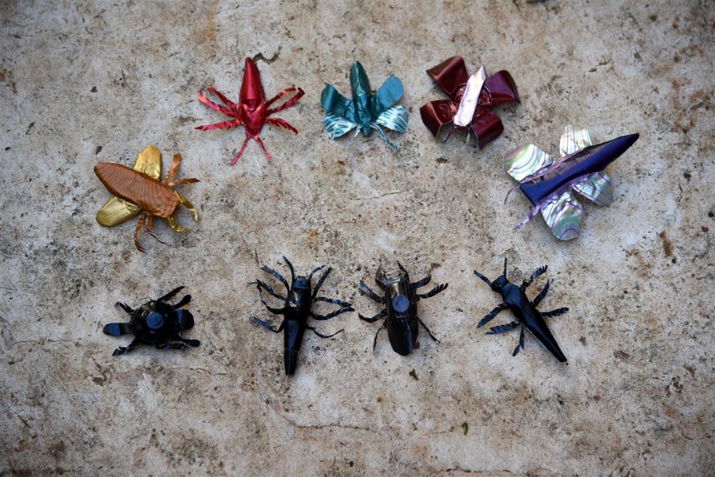 פיסול חרקים מקפסולות של קפה - אמנות אקולוגית  ECO ART