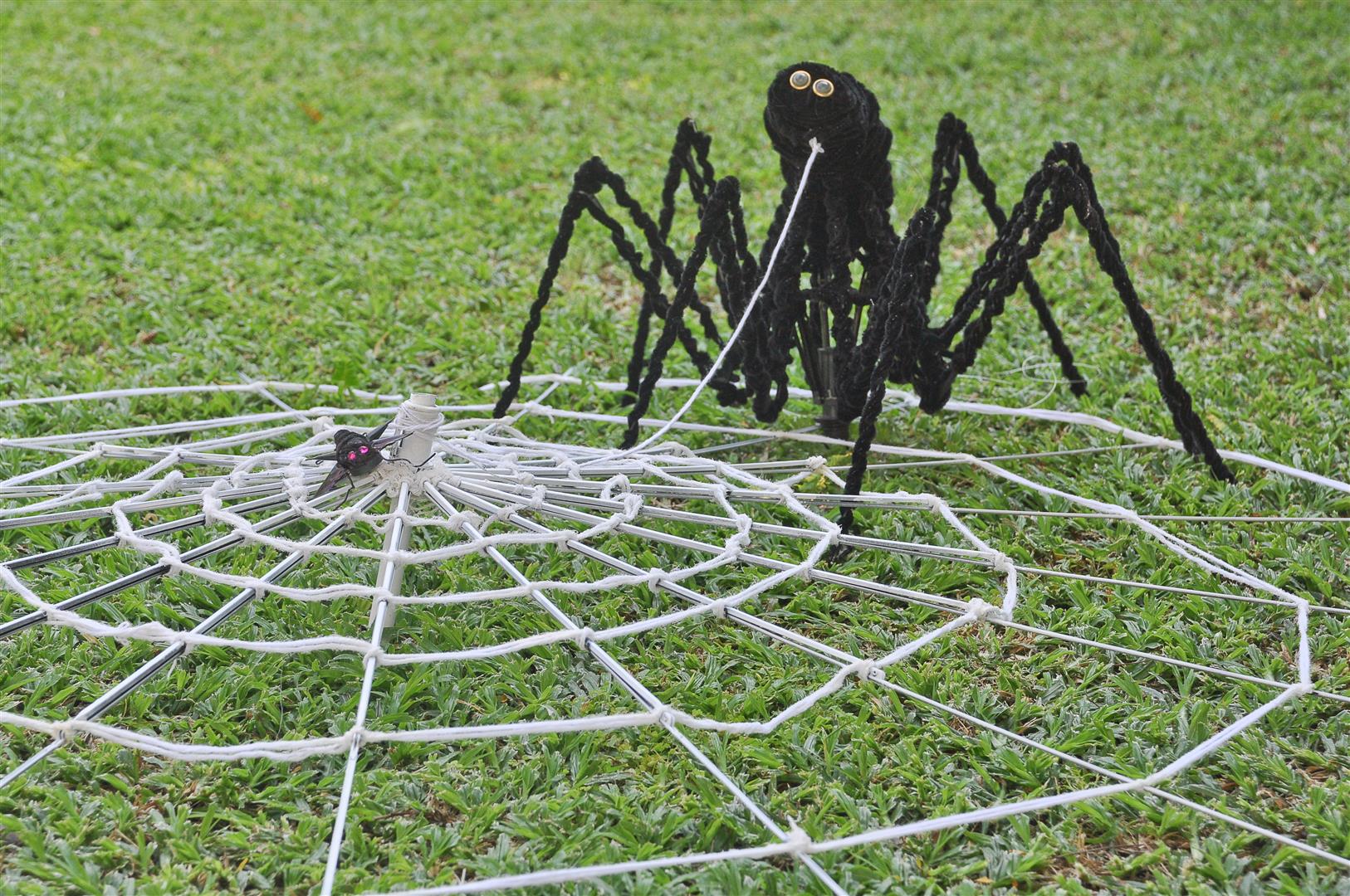 העכביש שלי הטווה חוטים ליצירה - החוט המקשר-