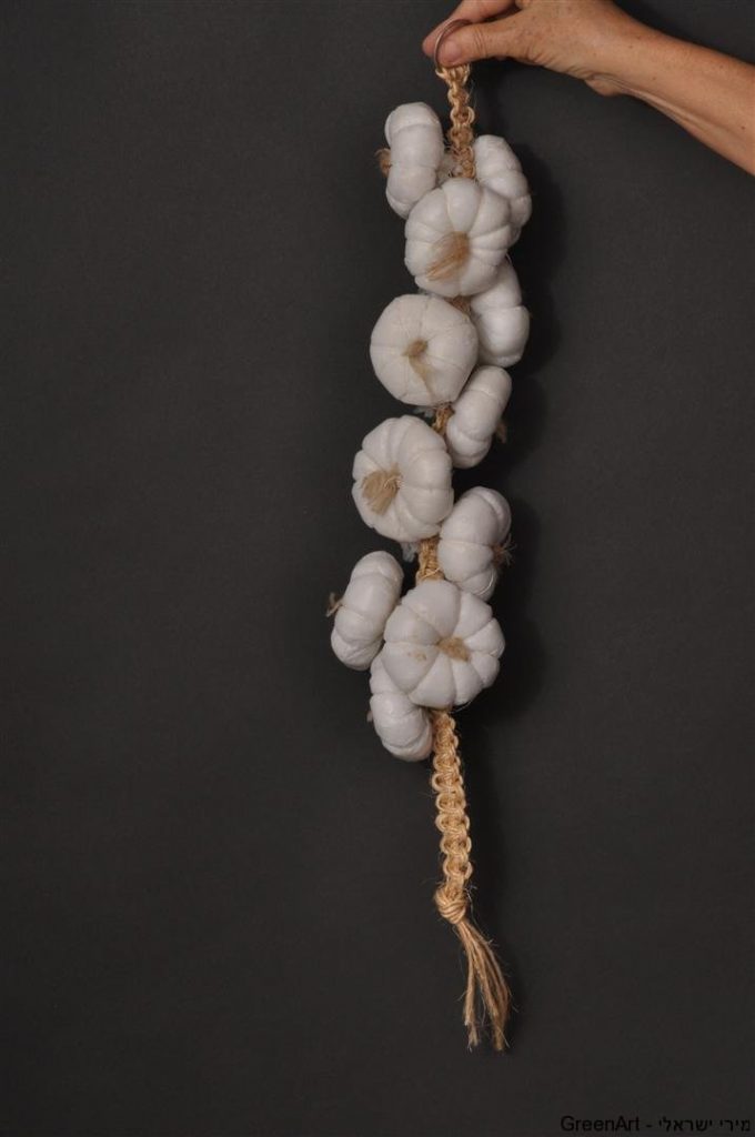 מחרוזת מראשי שום משקיות ניילון ממוחזרות