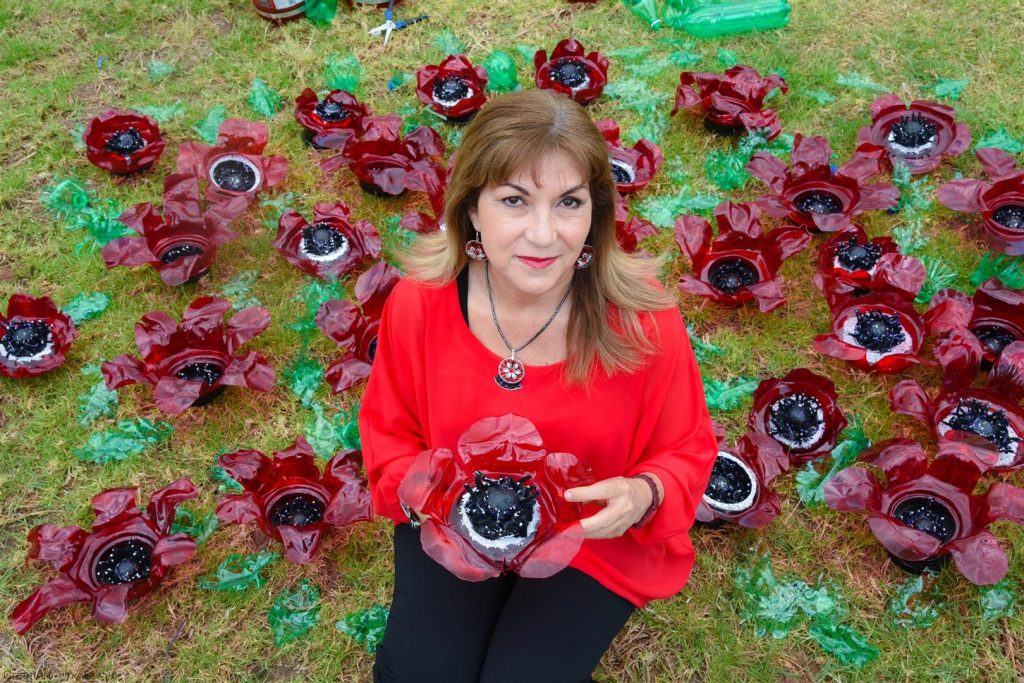 שדה כלניות ופרגים מבקבוקי פלסטיק - צילום ויקי מוצפי שדה כלניות ופרגים מבקבוקי פלסטיק - צילום ויקי מוצפי