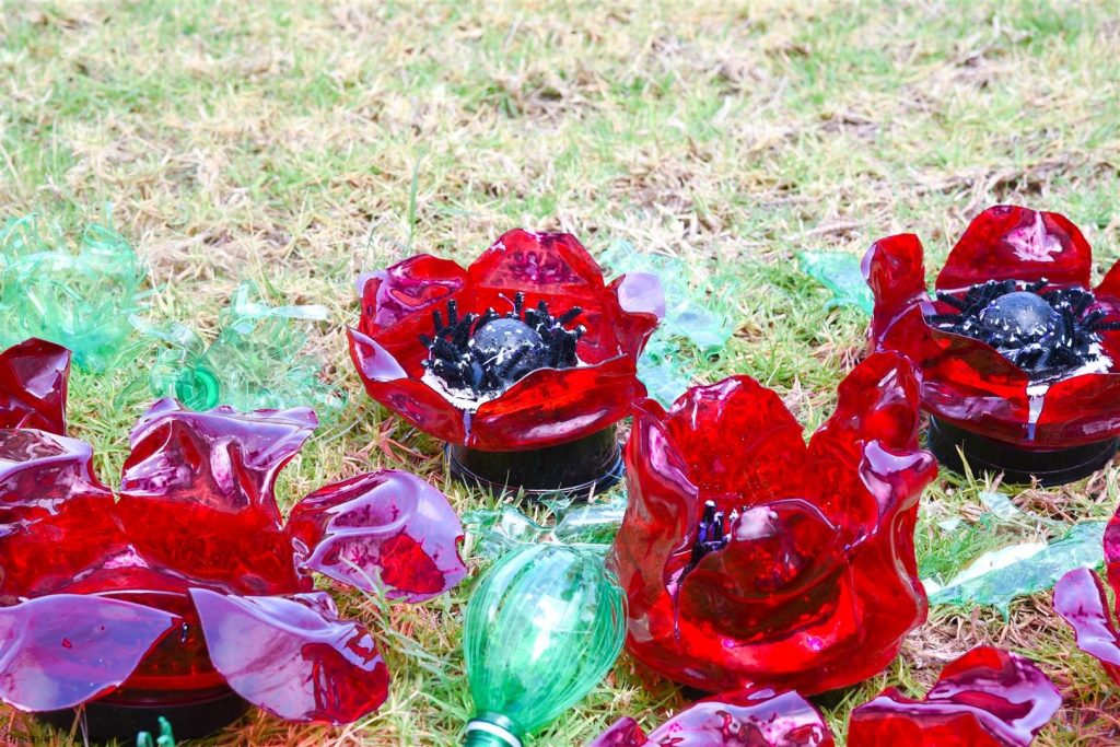 שדה כלניות ופרגים מבקבוקי פלסטיק- צילום ויקי מוצפי