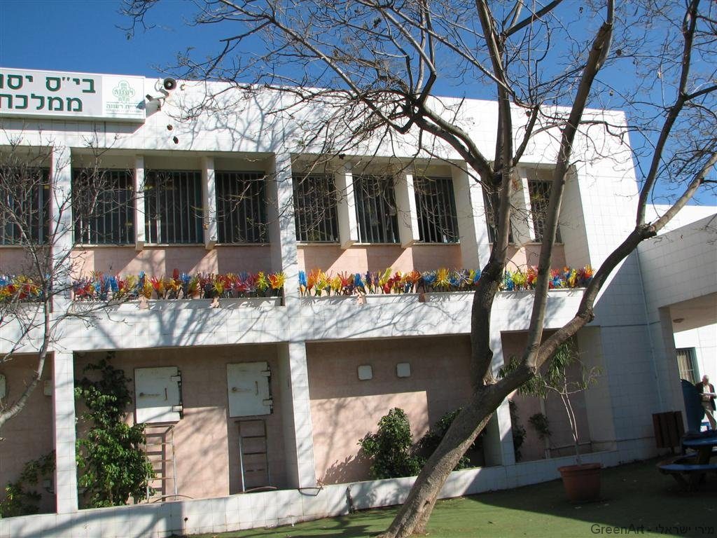 פריחה מרהיבה מבקבוקי פלסטיק בשימוש חוזר פריחה מרהיבה מבקבוקי פלסטיק בשימוש חוזר