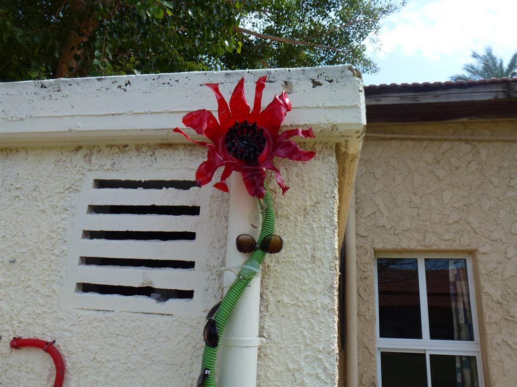 פעם הייתי בקבוק פלסטיק אדום והיום אני פרח מרהיב