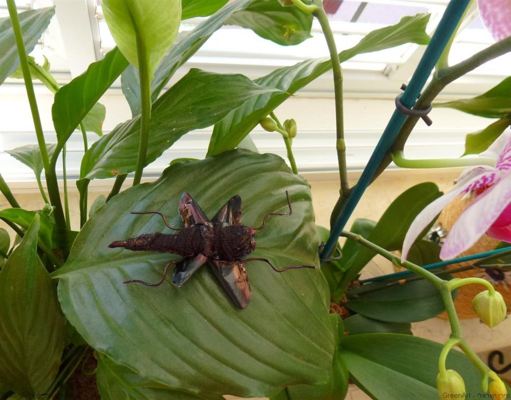 פיסול חרקים מקפסולות של קפה כהזדהות עם הצורך בשמירת מגוון הביולוגי של בעלי החיים בטבע