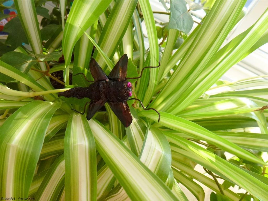עיצוב ופיסול חיות מקפסולות של קפה וחוטי מתכת משומשים