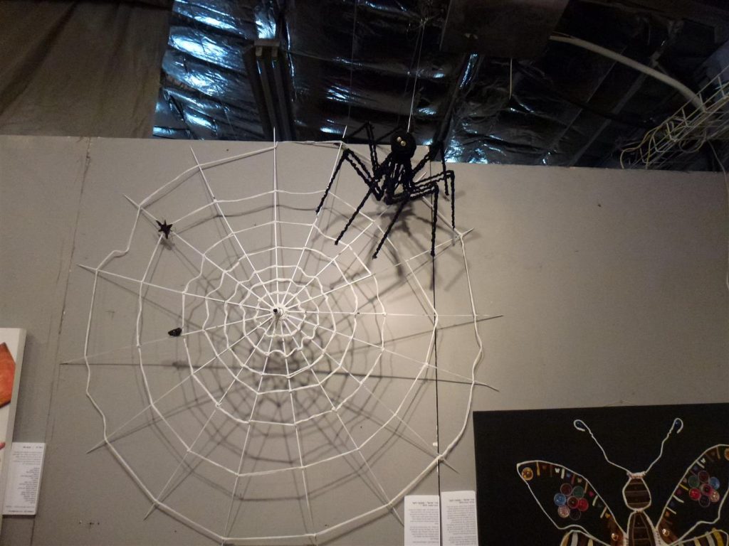 היצירה שלי - החוט המקשר- עכביש בכיוון בעלי החיים שנתפסו ברשת