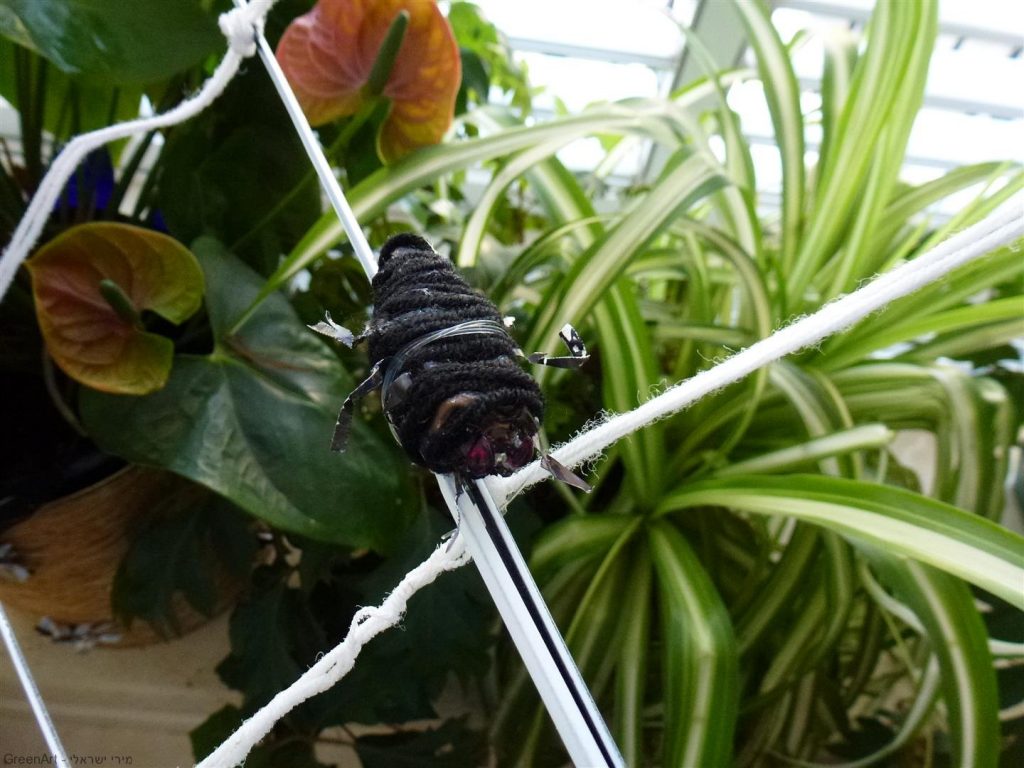 חרקים מפוסלים מקפסולות של קפה- מהפך מן הפח!