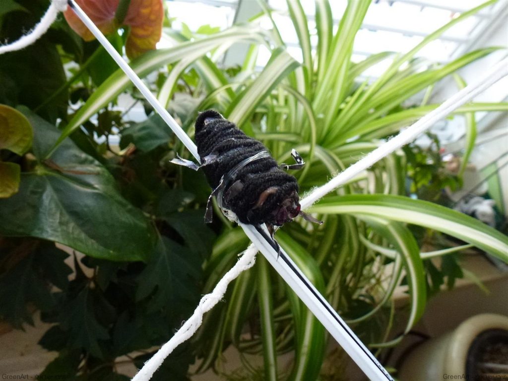 חרקים מפוסלים מקפסולות של קפה וסיכות ראש