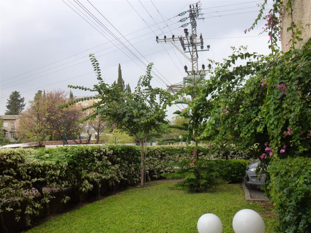 חורף (דצמבר)2013 תפילה לימי גשם שירוו את צמאונם של העצים והאדמה