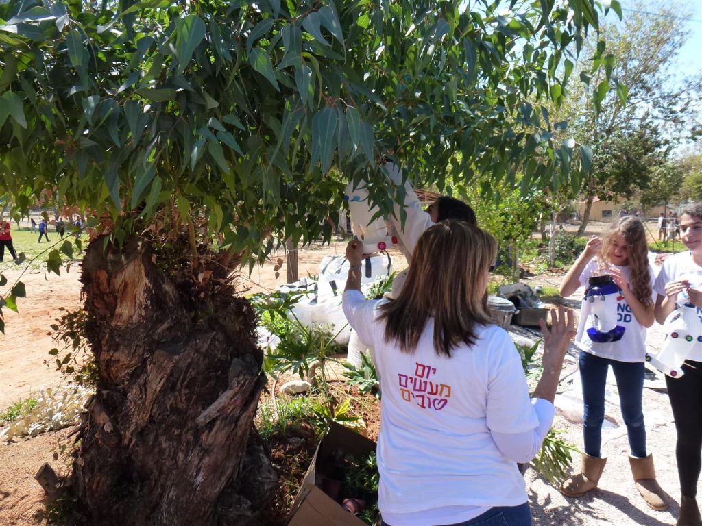 תולים את המתקנים עם חברי חוחית בשדרת עצי הבוהיניה בויצו הדסים תולים את המתקנים עם חברי חוחית בשדרת עצי הבוהיניה בויצו הדסים