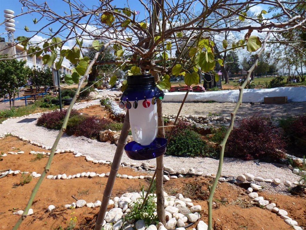 מתקני האכלה לציפורים שיצרנו עם צוות חוחית מורכבים על עצי הבוהיניה מתקני האכלה לציפורים שיצרנו עם צוות חוחית מורכבים על עצי הבוהיניה