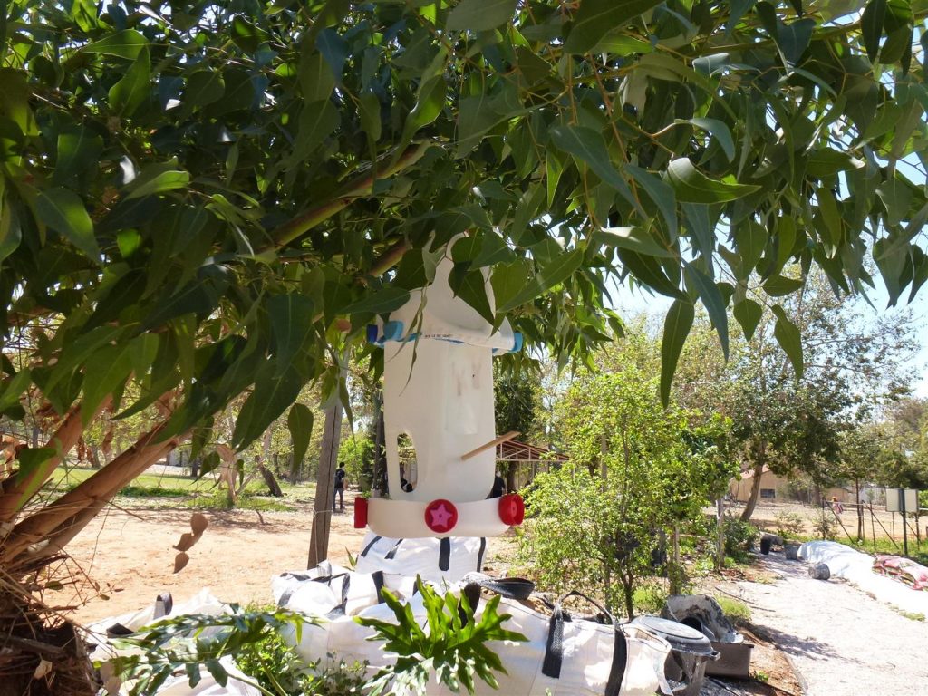 מתקני האכלה לציפורים שיצרנו עם צוות חוחית מורכבים על עצי הבוהיניה מתקני האכלה לציפורים שיצרנו עם צוות חוחית מורכבים על עצי הבוהיניה