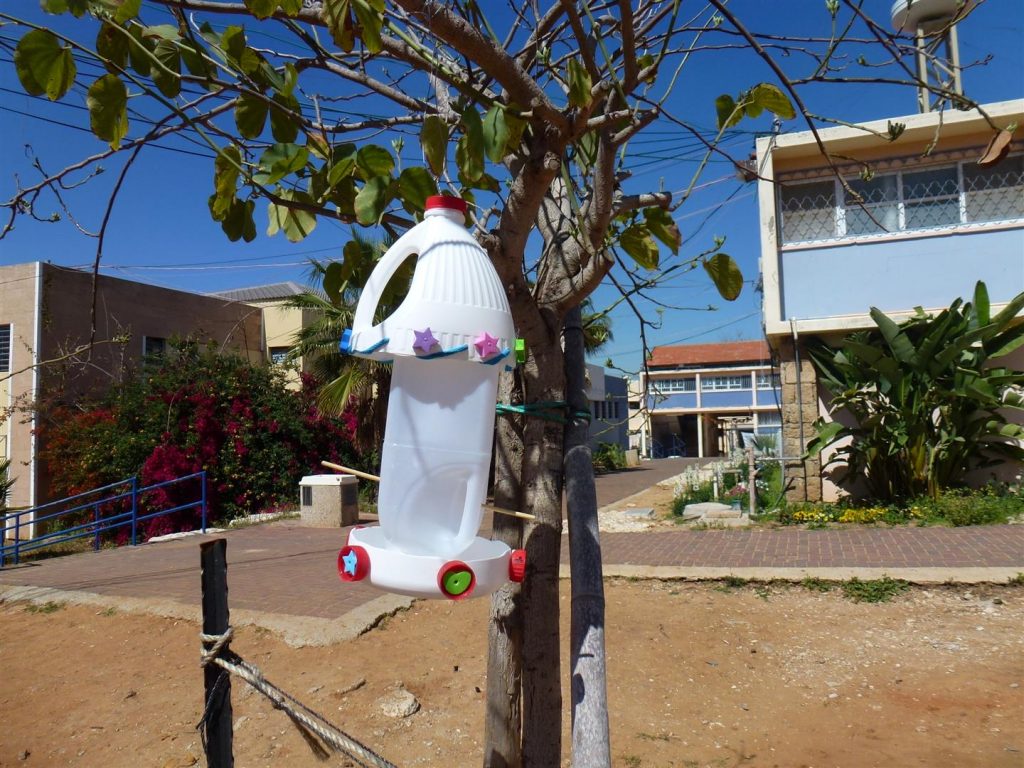 מתקני האכלה לציפורים שיצרנו עם צוות חוחית מורכבים על עצי הבוהיניה מתקני האכלה לציפורים שיצרנו עם צוות חוחית מורכבים על עצי הבוהיניה