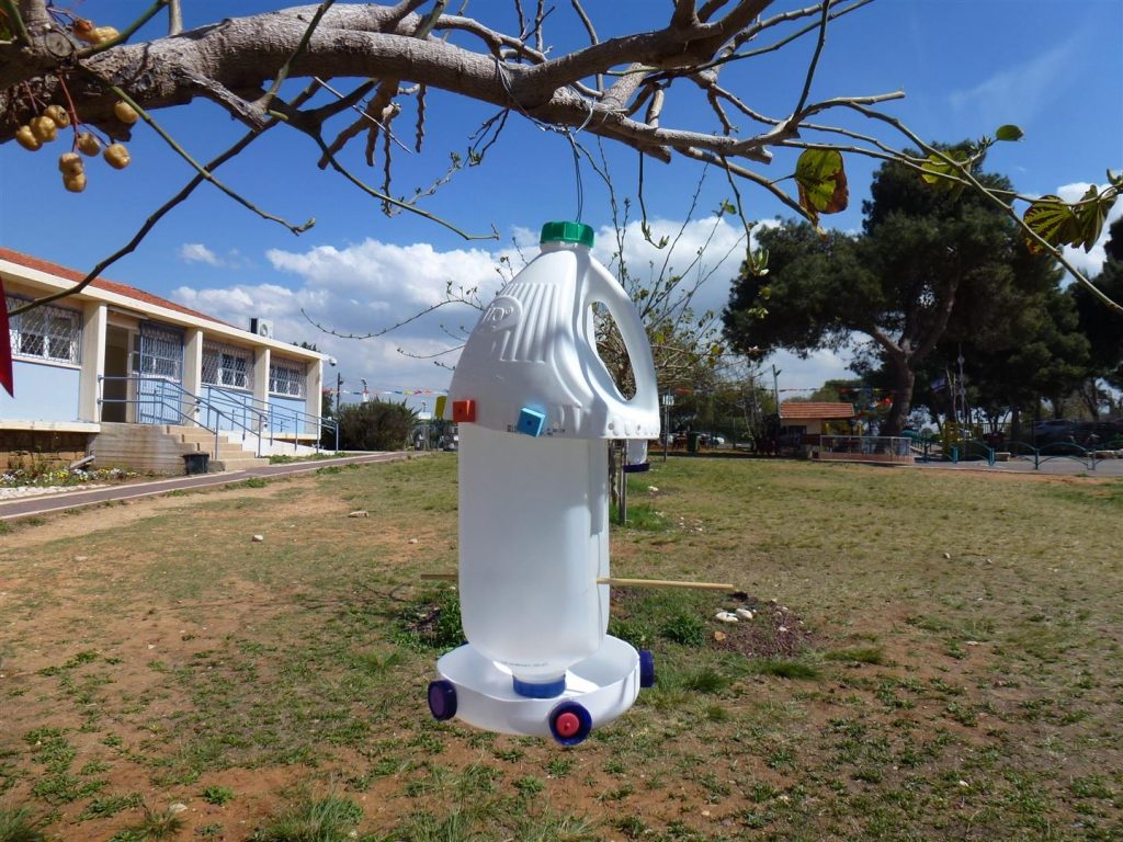 מתקני האכלה לציפורים שיצרנו עם צוות חוחית מורכבים על עצי הבוהיניה מתקני האכלה לציפורים שיצרנו עם צוות חוחית מורכבים על עצי הבוהיניה