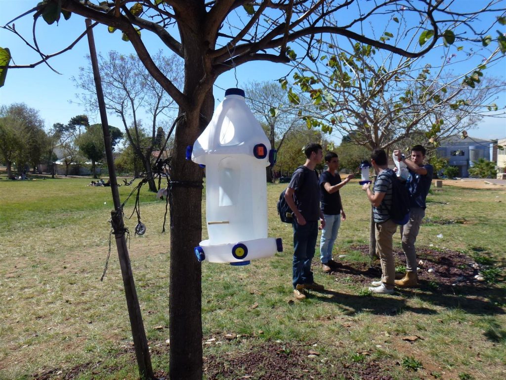 מתקני האכלה לציפורים שיצרנו עם צוות חוחית מורכבים על עצי הבוהיניה מתקני האכלה לציפורים שיצרנו עם צוות חוחית מורכבים על עצי הבוהיניה