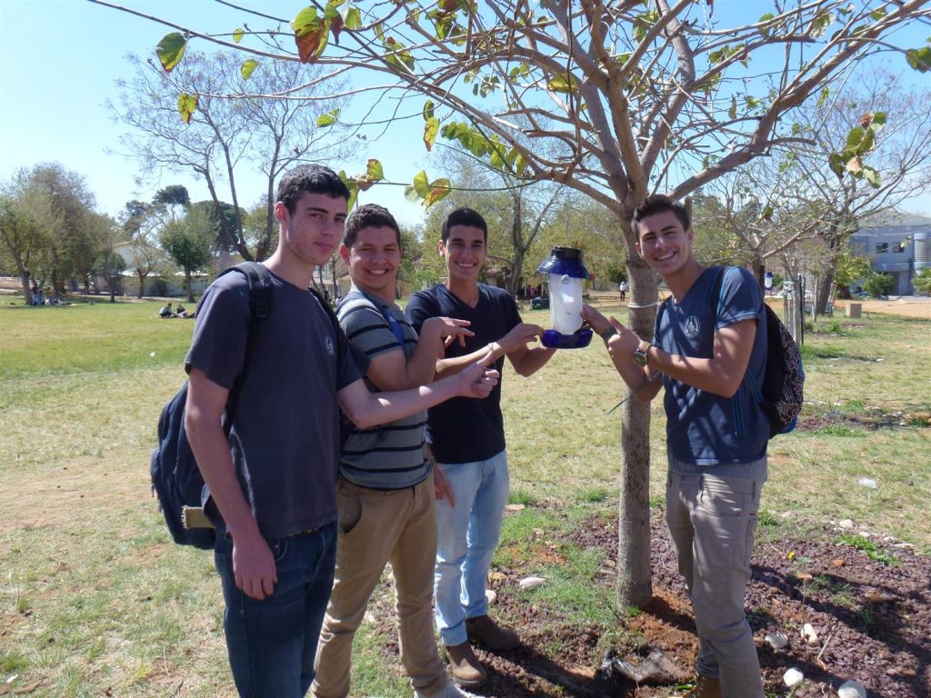 תלמידי ויצו הדסים נהנים מהתוספת שקבלנו עצי הבוהיניה עם מתקני האכלה לציפורים