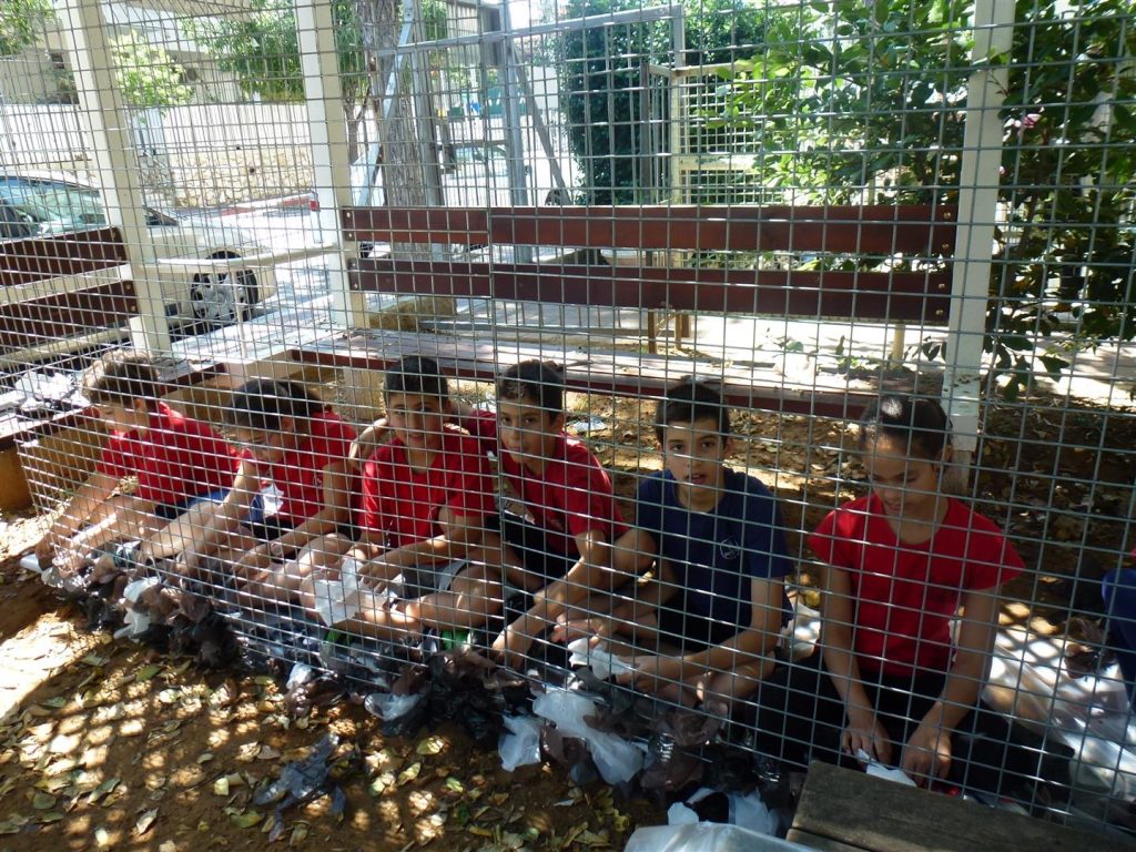 תלמידי כצנלסון מעטרים את הגדר בשקיות ניילון צבעוניות