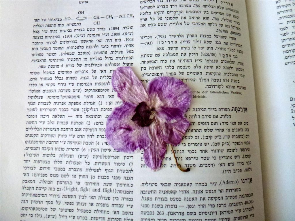 ייבוש פרחי הסחלב לשימוש חוזר ביצירת אומנות