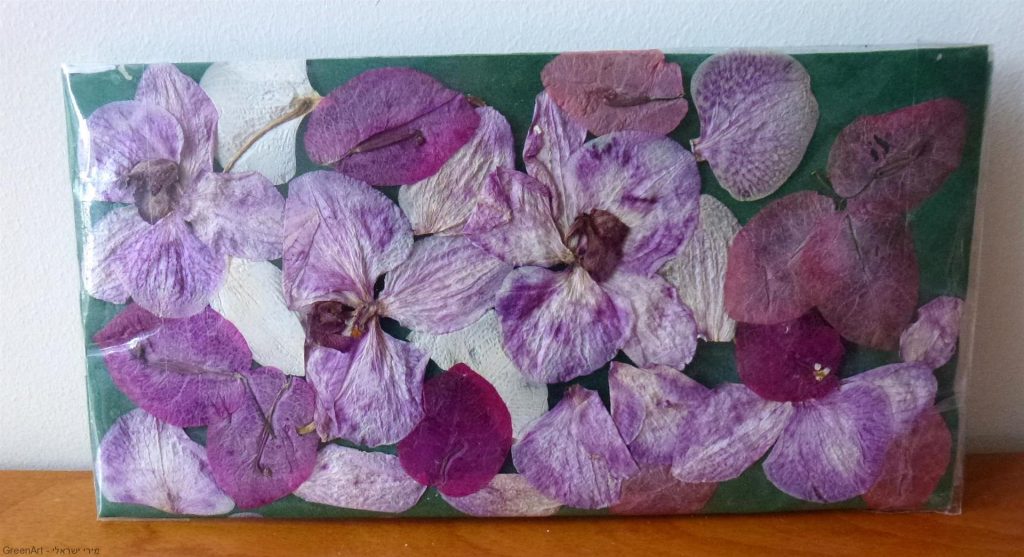 קלמר צבעוני מפרחי סחלב מיובשים שקיבלו חיים חדשים