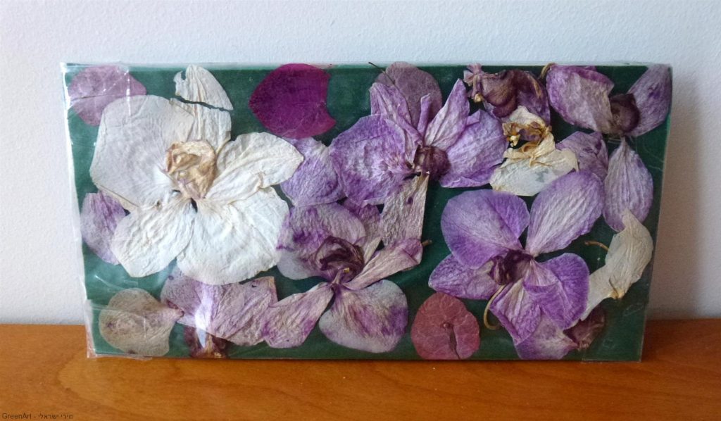 קלמר צבעוני מפרחי סחלב מיובשים שקיבלו חיים חדשים