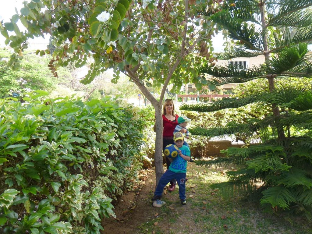 אפריל 2015 אורי בודק את גובהו ביחס לצמיחתו של עץ שלנו2015