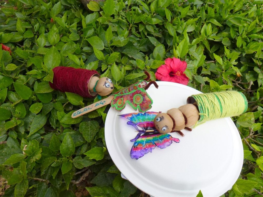 מעקב אחר התפתחותו של הפרפר באמצעות יצירה