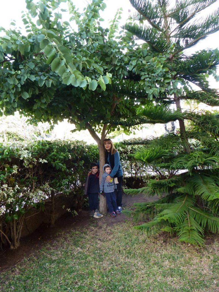 ינואר 2016 - חיבוק אוהב מנכדיי בני גילו של העץ העוקבים אחר צמיחתו