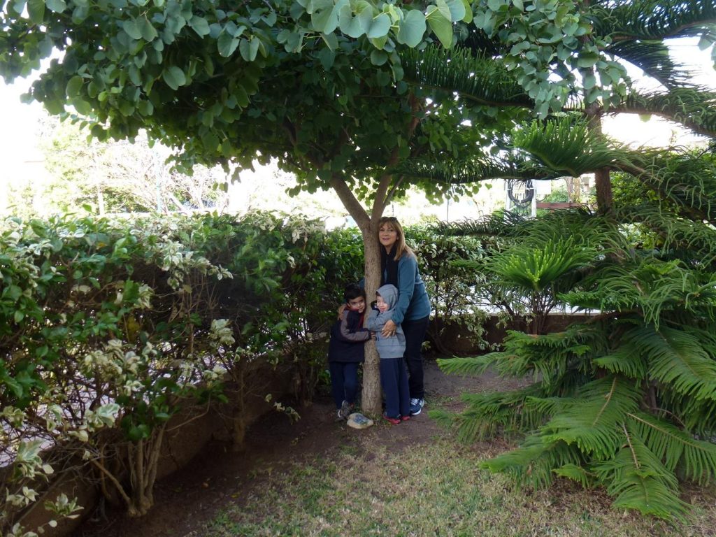 ינואר 2016 - חיבוק אוהב מנכדיי בני גילו של העץ העוקבים אחר צמיחתו