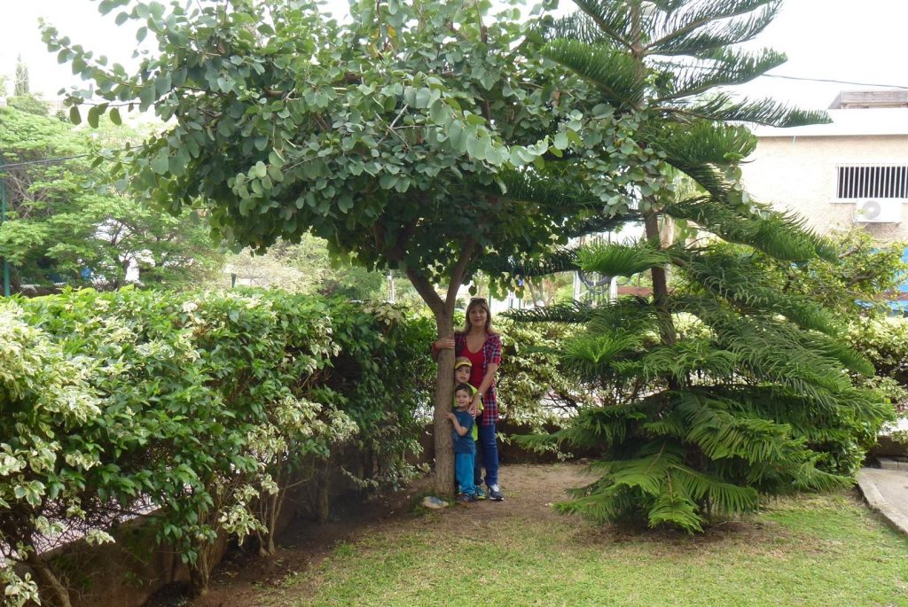 חיבוק אוהב לעץ מלמד את הילדים את הצורך לכבד ולשמור על העצים