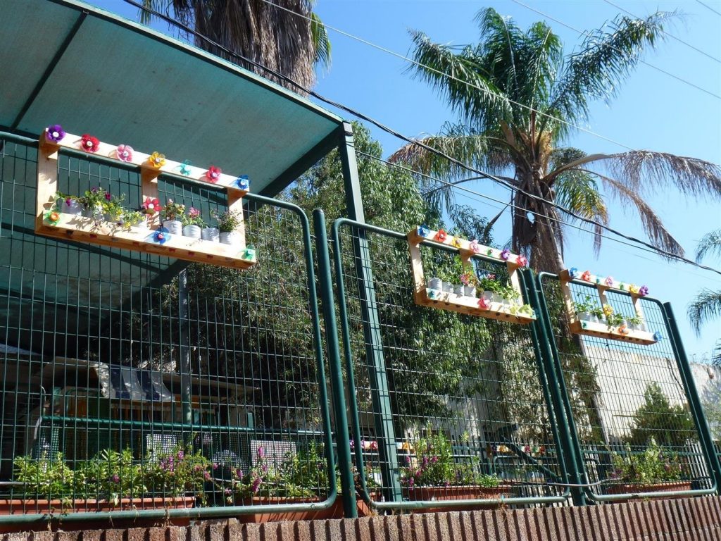 תליית האדניות על גדרות בית הספר שהוסיפו יופי והדר לסביבה