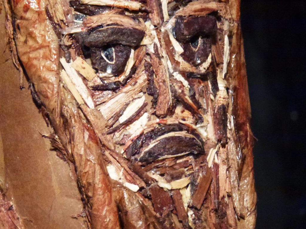 דמעות נוזלות מעיני גזע העץ הכרות- אמנות אקולוגית ECO ART
