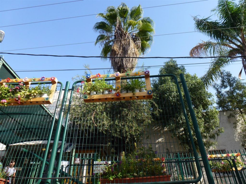 טיפוח סביבה ירוקה מפסולת עירונית לפריחה צבעונית- ECO ART ברעננה