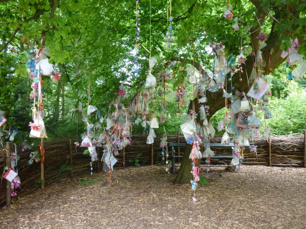 עץ המוצצים בגני העיר, בו תלויים מאות מוצצים עם מכתבי פרידה מהילדים