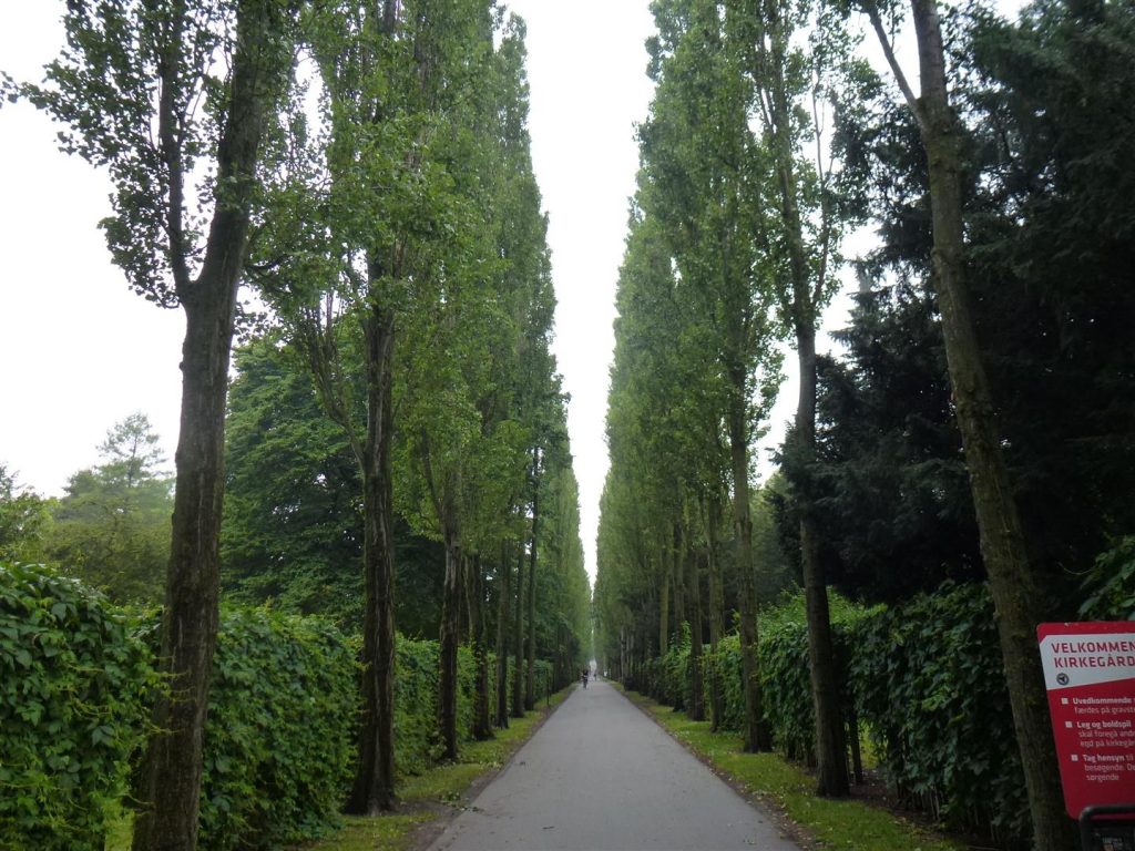 שדרות עצים מרהיבים בבית הקברות אסיסטנס שבקופנהגן