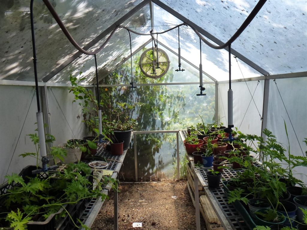 חממה לגידולי צמחים בגינת מרכז אקולוגי סודות ירוקים