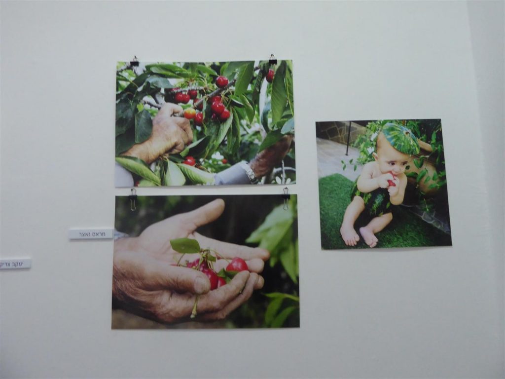 עבודות צילום של האמנית מראם נאצר