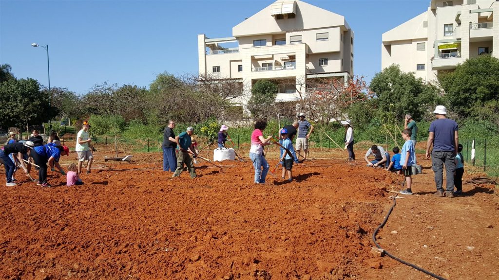 אביב 2016 -החברים מכשירים את הקרקע להכנת ערוגות לשתילה