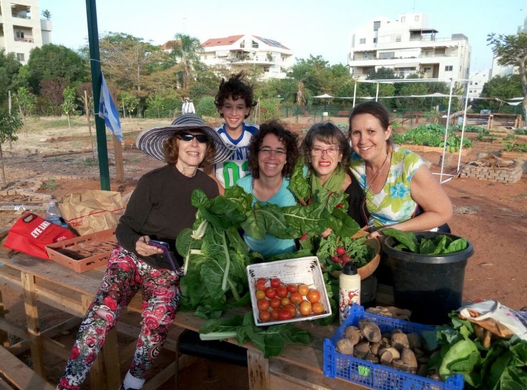 איסוף יבולי טרי ובריא בגינת "הפעמונים" ברעננה - נובמבר 2016
