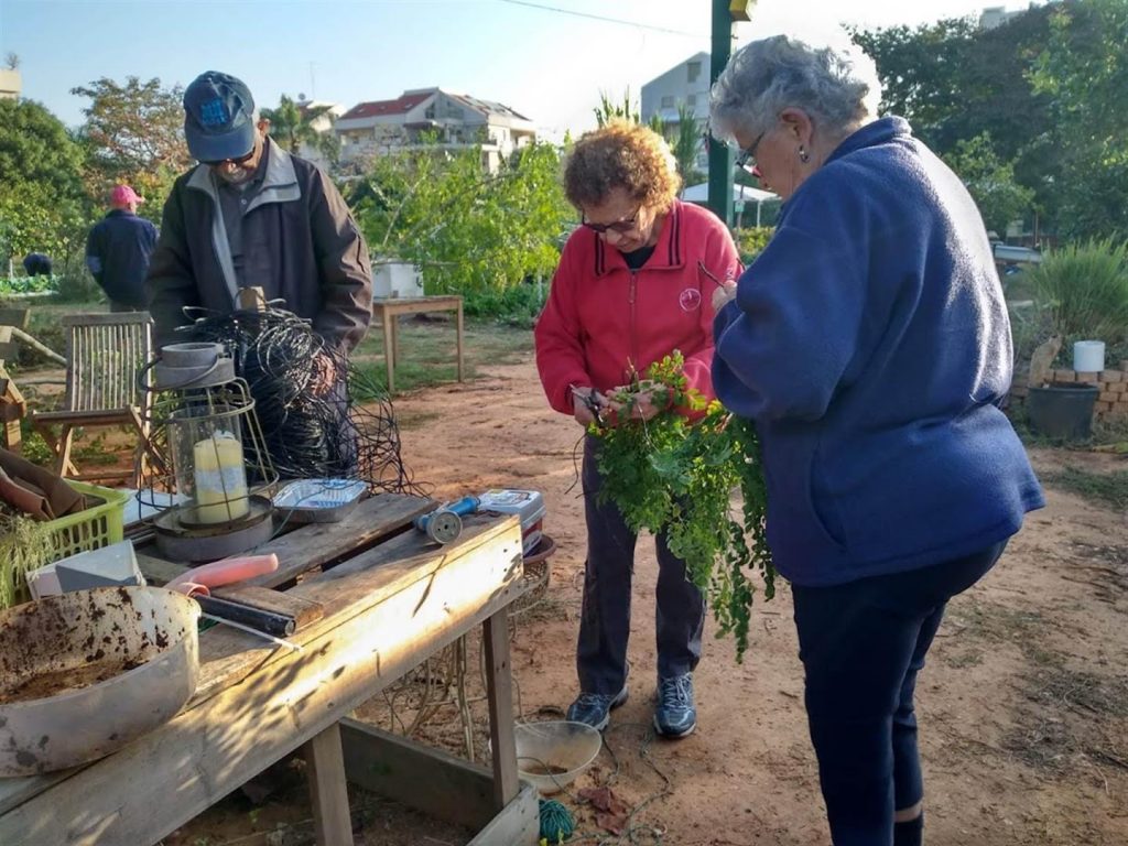 החברים גוזמים את ענפי עץ המורינגה והכנה לצרורות - דצמבר 2019