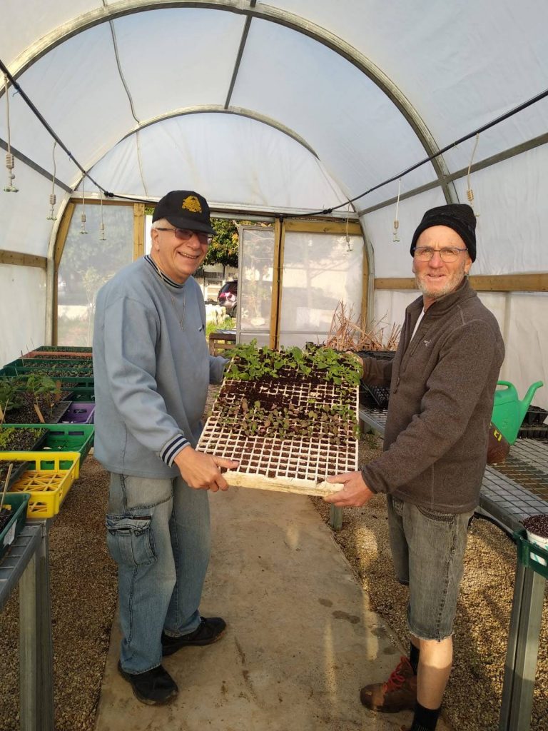 אילן ובני בחממה הנגישה עם מגשי הייחורים - ינואר 2020