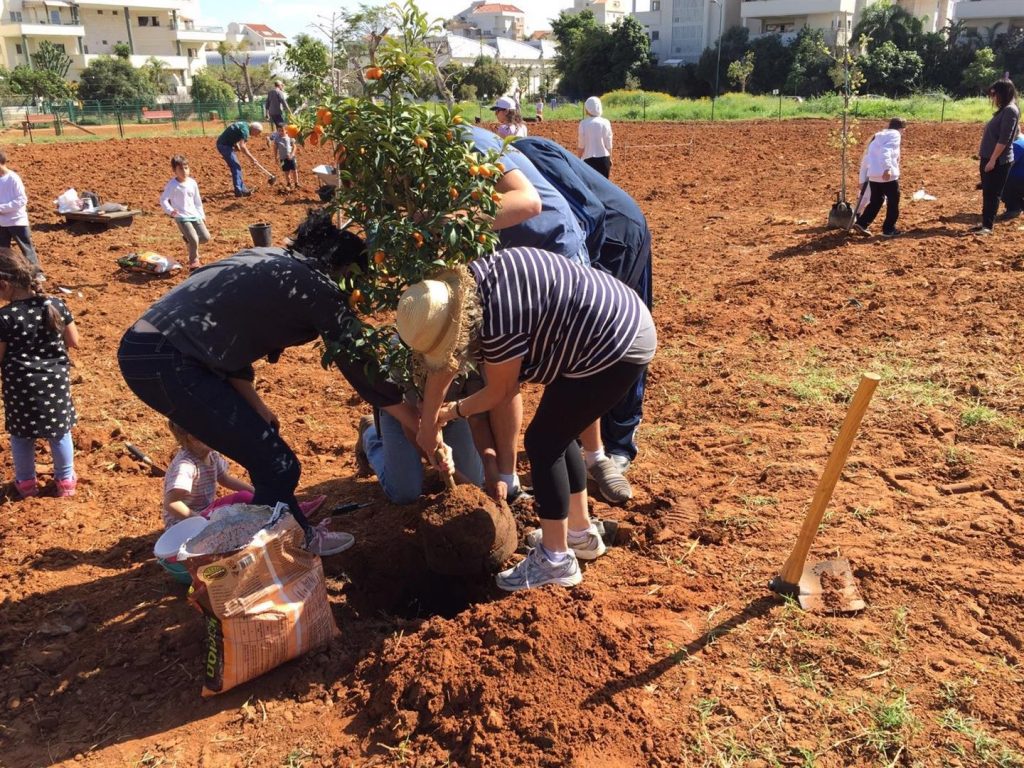 ימיה הראשונים של הגינה שותלים החברים עצי פרי ועצי נוי - אפריל 2016
