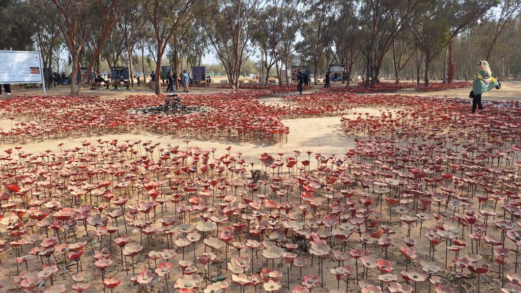 מיזם הנצחה הנקרא "כלניות לפני הגשם" לזכר הנרצחים בנובה וכסמל לפריחה ותקומה