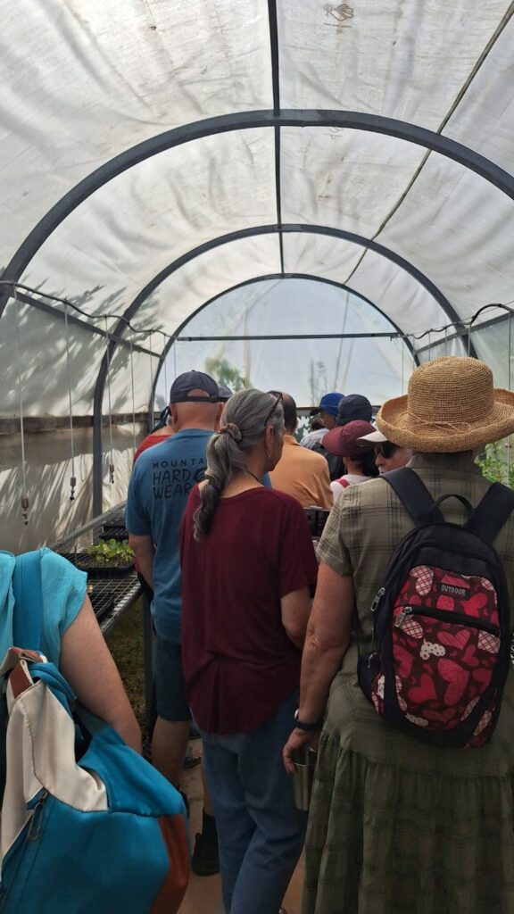 שושנה וצבי במתן הסבר בחממת הזרעים בגינה הקהילתית "הפעמונים: רעננה